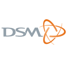 A picture of the dsm logo.